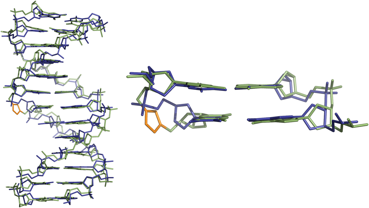 Comparison of three-dimensional structures of triazole-linked and normal DNA